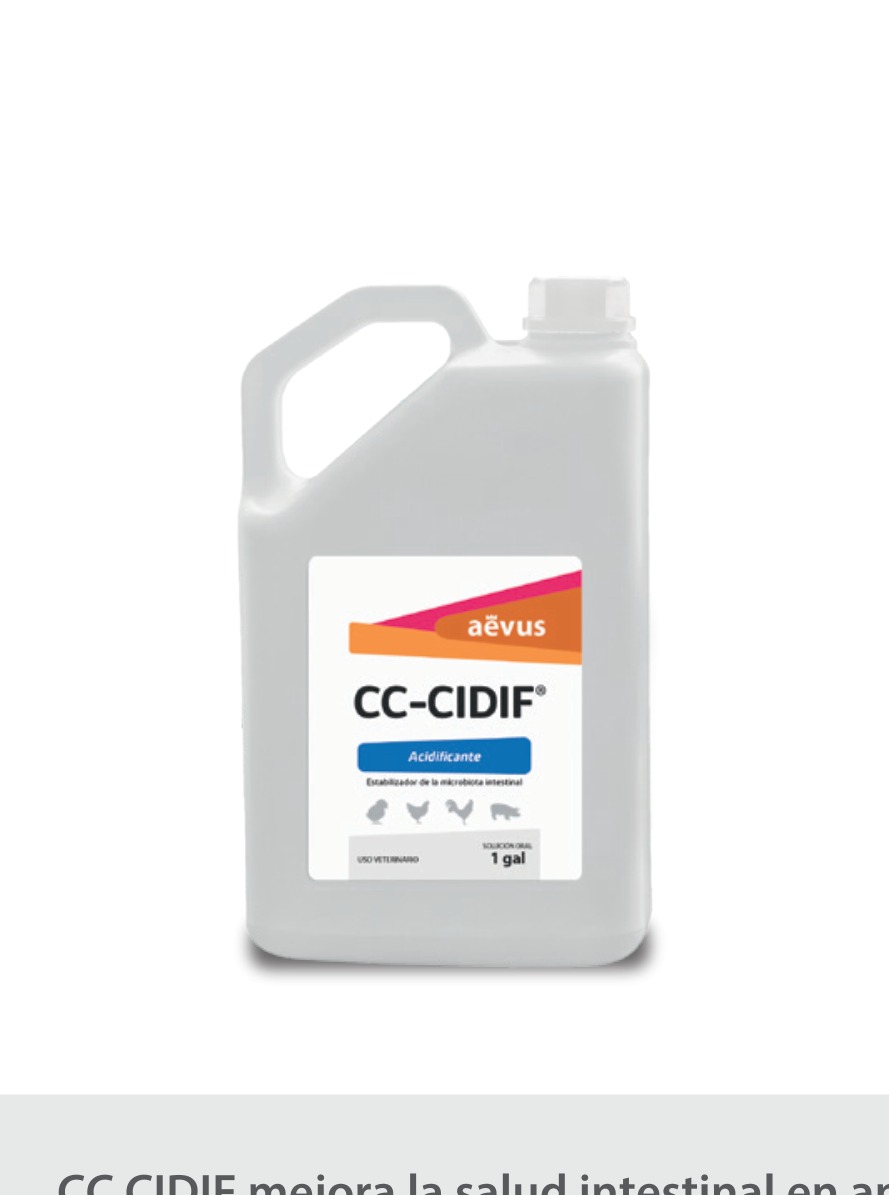 CC Cidif