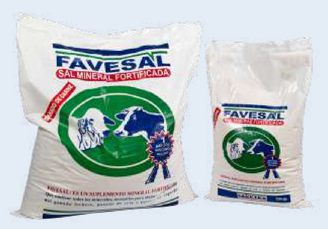 Favesal Carne