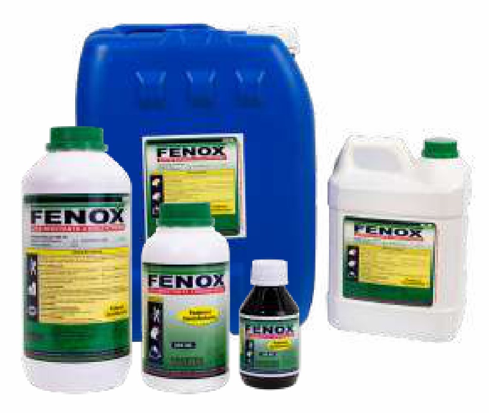 Fenox