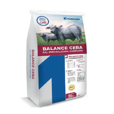 Balance Ceba