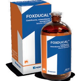 Foxducal