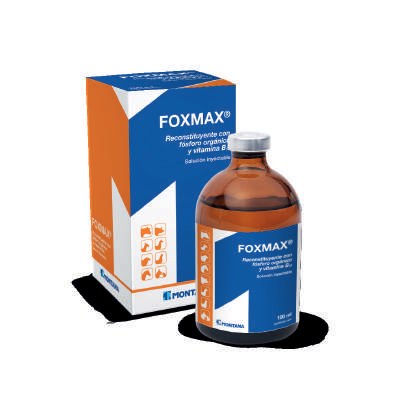 Foxmax