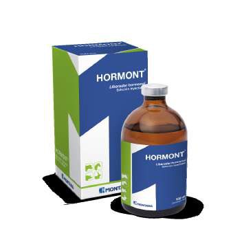 Hormont