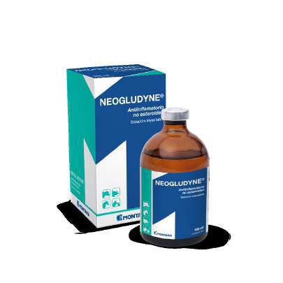 Neogludyne