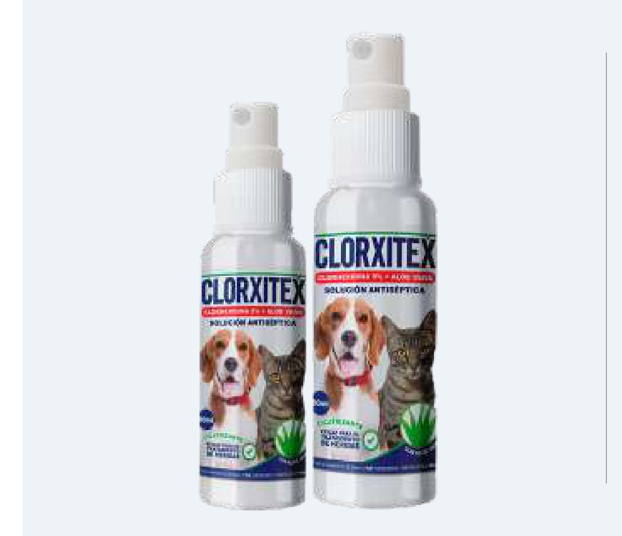 Clorxitex