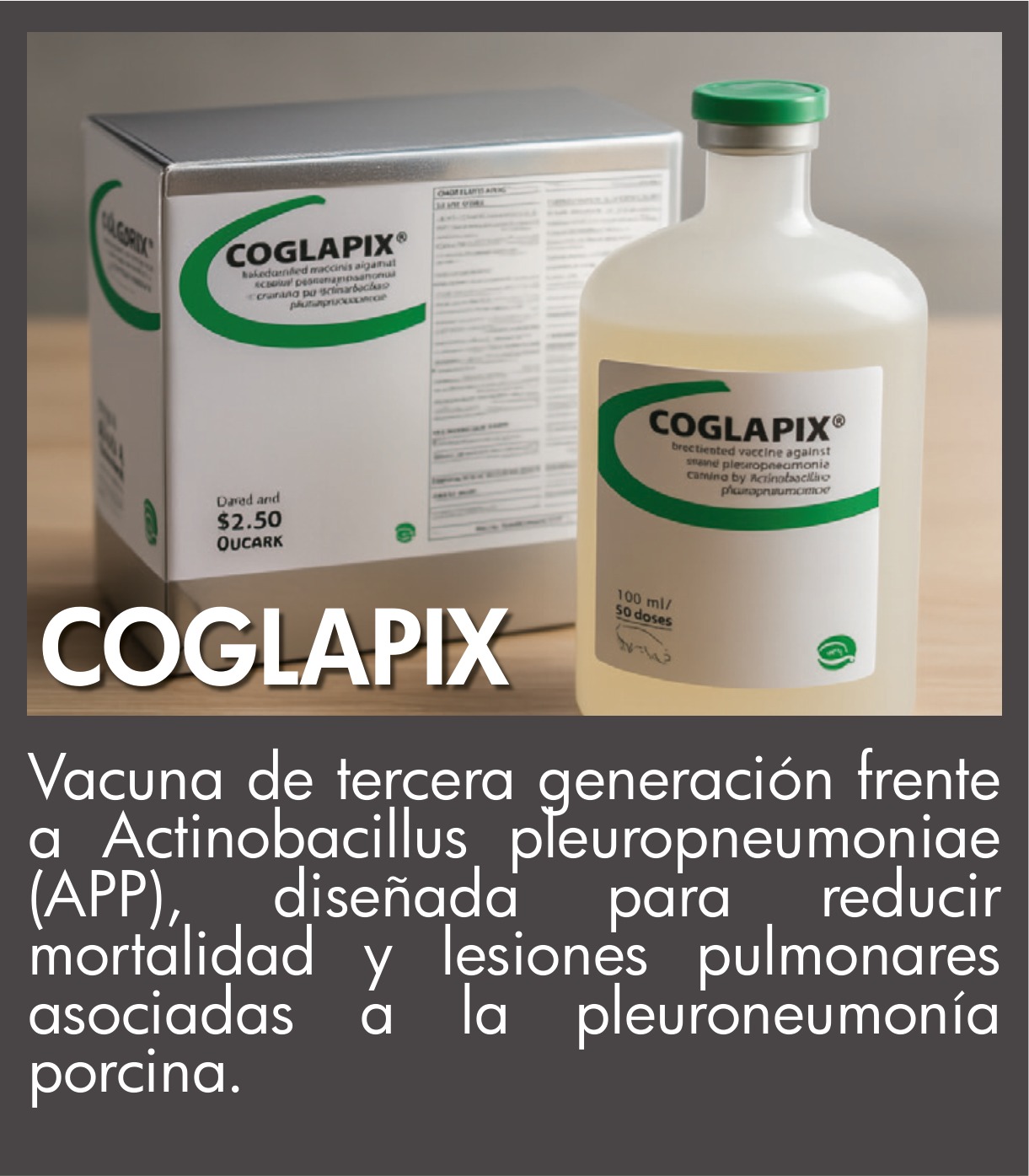 Coglapix