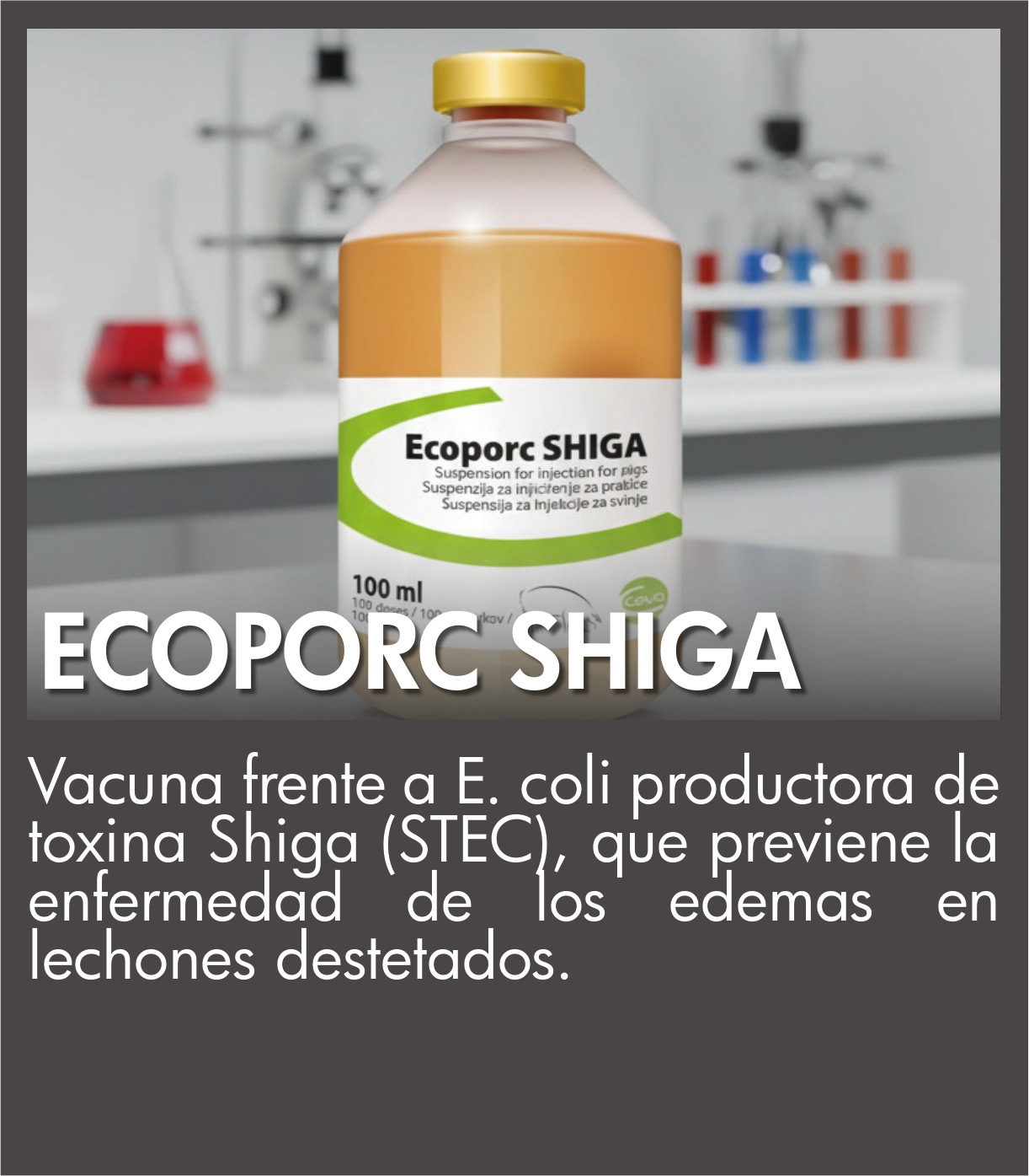 Ecoporc Shiga